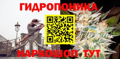 гидра Анжеро-Судженск