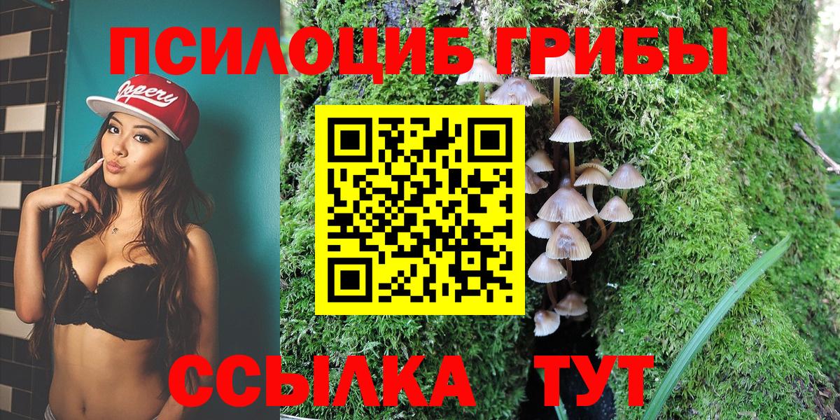 Псилоцибиновые грибы Psilocybine cubensis Кашира