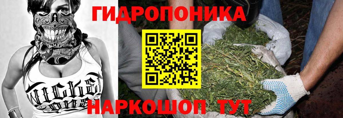 Бошки марихуана AK-47 Кашира